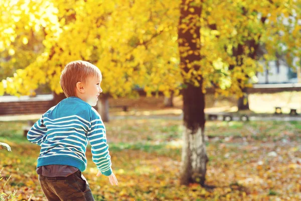 Gelukkig Jongetje Spelen Herfst Park Warme Zonnige Dag Herfst Kindertijd — Stockfoto