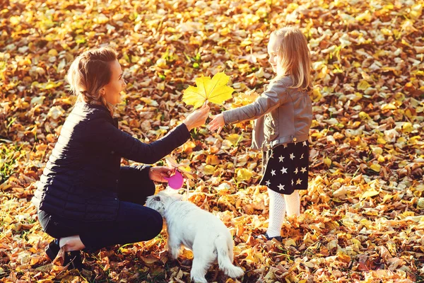 Caminhada Família Parque Outono Família Feliz Seu Cão Desfrutando Folhas — Fotografia de Stock