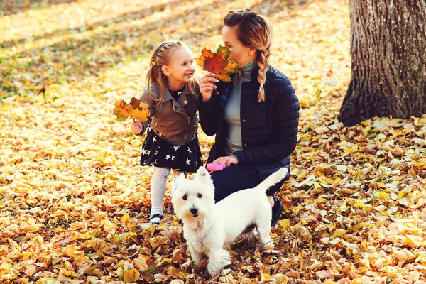 Mother Daughter Dog Having Fun Autumn Park Falling Leaves Walk — Stock Photo, Image