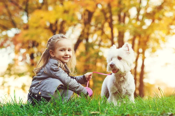 Niña Con Perro Parque Otoño Linda Chica Sonriente Divirtiéndose Caminar —  Fotos de Stock