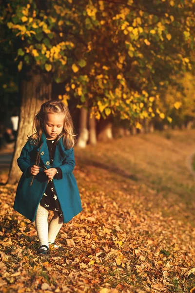 Mode Flicka Blå Jacka Promenader Hösten Park Hösten Barnkläder Människor — Stockfoto
