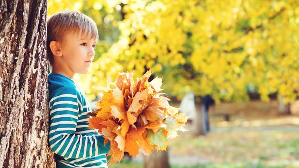 Netter Kleiner Junge Genießt Das Herbstwetter Glückliches Kind Das Sonnigen — Stockfoto