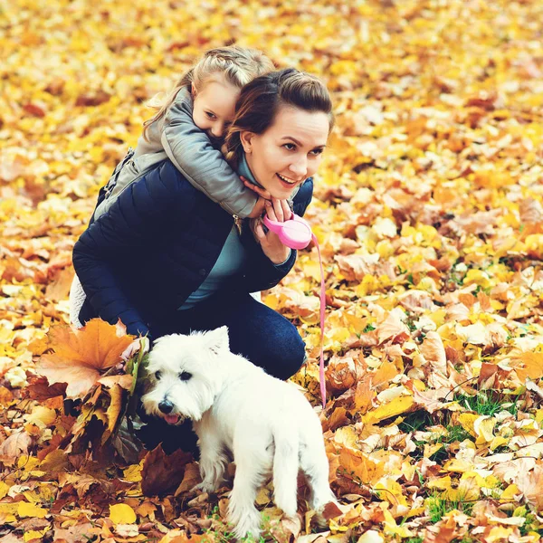 Mother and daughter on autumn walk with dog. Happy loving family having fun. Small white dog and family enjoying together outdoors. Family, pet and lifestyle concept. Autumn holidays.