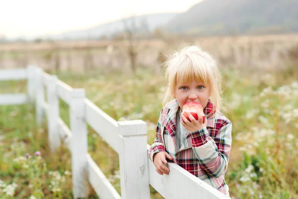 Niedliches Kleines Mädchen Beim Apfelessen Auf Dem Bauernhof Sommerferien Auf — Stockfoto