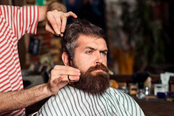 Handsome bearded man at barber shop. Hairstylist serving client at barbershop. Time for new haircut. Making haircut look perfect. Young bearded man getting haircut by hairdresser.
