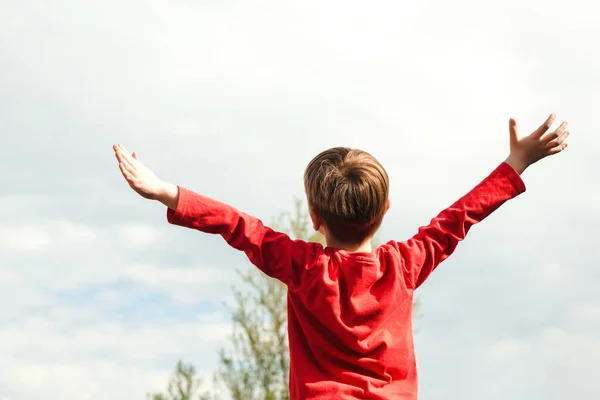 快乐的孩子举起手来的性质 自由和未来的概念 快乐的童年 — 图库照片
