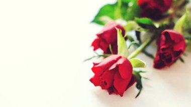 Çiçekler kompozisyon. Beyaz masada kırmızı güller. Çiçekler ile sabah ruh hali. Happy Sevgililer günü kartı. Mutlu severler gün mockup