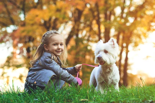 Criança encantadora com cão andando em folhas caídas. Menina feliz desfrutando colorido parque de outono com seu melhor amigo cão . — Fotografia de Stock