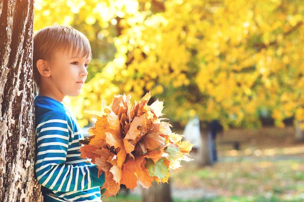 Glückliches Kind, das an sonnigen Tagen mit Herbstblättern spielt. glückliche und gesunde Kindheit. Herbstferien. — Stockfoto