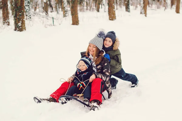 Familia feliz conduciendo trineo en la nieve. Madre y sus hijos se divierten en el parque de invierno. Vacaciones de invierno y Navidad . — Foto de Stock