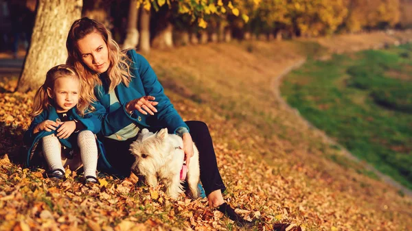 Mãe feliz com uma criança e um cão andando ao ar livre no outono. Jovem mãe se divertindo com criança e animal de estimação no dia ensolarado . — Fotografia de Stock