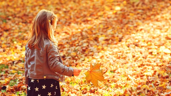 Πίσω όψη του ξανθού κοριτσιού. Ένα παιδί που περπατάει στο πάρκο το φθινόπωρο. Το παιδί παίζει με τα φθινοπωρινά φύλλα. Καλές καλοκαιρινές διακοπές. — Φωτογραφία Αρχείου