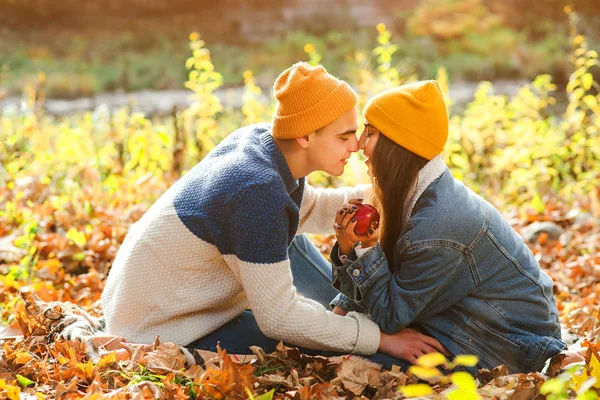 Fashionabla par kyssas och glädjas i höstparken. Kärlek och ömhet. Mode, kärlek och relation. — Stockfoto