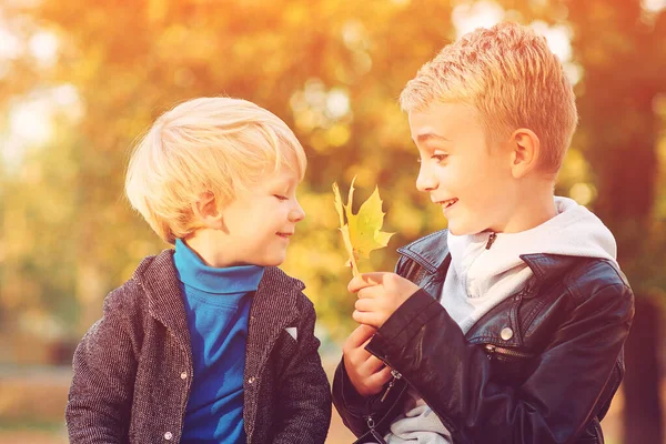 Lindos Niños Divirtiéndose Juntos Parque Otoño Felices Hermanos Caminando Naturaleza — Foto de Stock