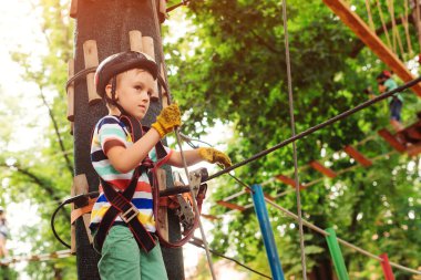 Çocuk ağaçların arasından kablo hattını geçiyor. İp parkına tırmanıyorum. Yaz kampı. Yaz güneşli bir gün. İp oyun alanı yapısı. Güvenli tırmanış ekstrem spor.