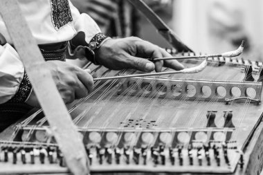 Gusli enstrümanla çalan adam. Gusli eski bir geleneksel Rus müzik enstrümanıdır. Gusli folk müzik aleti erkeklerin elinde.