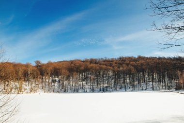 İnanılmaz kış manzarası. Kış dağlarında açık mavi gökyüzü. Kış karlı tarla. Kış zamanı seyahat etmek. Mutlu noeller.
