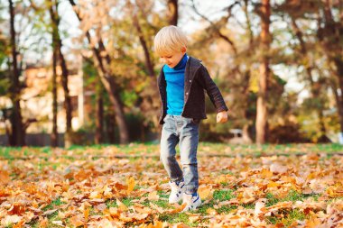 Sonbahar parkında eğlenen şirin küçük çocuk. Düşen yaprakların arasında şık bir çocuk yürüyor. Çocuk modası. Moda ceket, kot pantolon ve spor ayakkabı giyen şık bir çocuk. Mutlu sarı saçlar, küçük bebek..