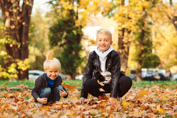 Joyeux Frères Jouant Ensemble Dans Parc Automne Des Enfants Élégants — Photo