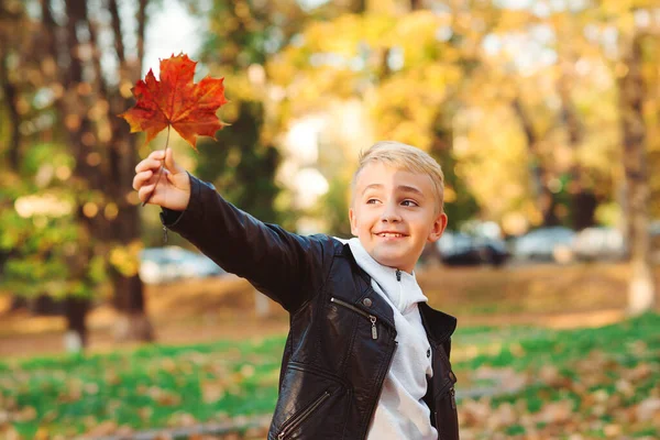 在秋天的城市公园里玩得很开心 快乐的孩子在落叶中散步 童装时尚 穿着时髦皮夹克的男孩 在外面笑的小男孩 男孩拿着枫叶 秋天的心情 — 图库照片