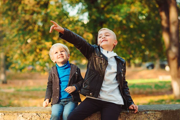 Aranyos Gyerekek Játszanak Nevetnek Őszi Sétákon Boldog Testvérek Őszi Leveleket — Stock Fotó