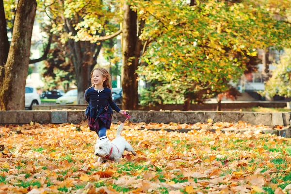 Chica Feliz Corriendo Con Perro Parque Otoño Niño Encantador Con — Foto de Stock