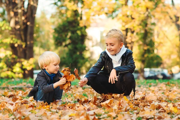 Glada Bröder Leker Tillsammans Höstparken Söta Barn Som Kastar Höstlöv — Stockfoto