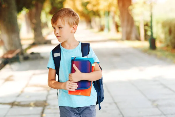 Ragazzo Carino Con Zaino Che Scuola Figlio Della Scuola Elementare — Foto Stock