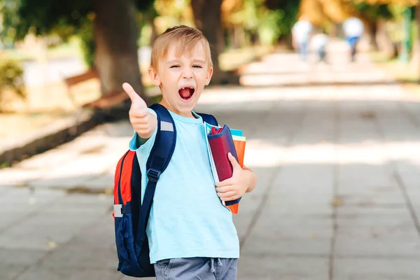 Щасливий Маленький Студент Шкільною Сумкою Милий Хлопчик Блокнотами Рюкзаками Готовий — стокове фото