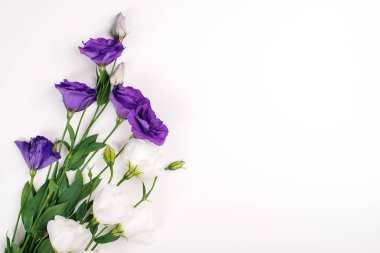 Beyaz arka planda çiçek kompozisyonu. Yumuşak beyaz ve mor östoma çiçekleri. Düz konum, üst görünüm, kopyalama alanı. Düğün davetiyesi. Kadınlık ve şefkat