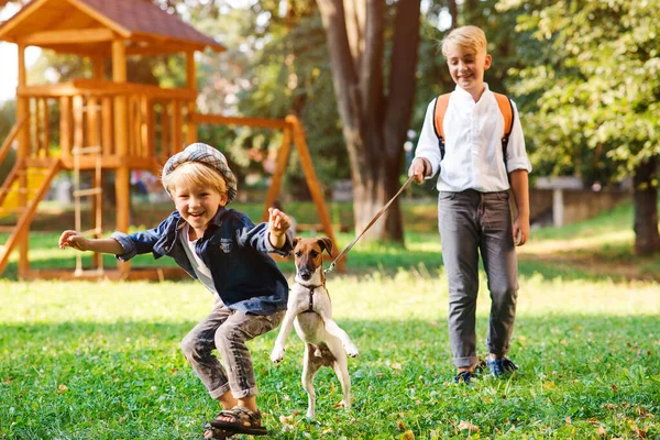 Parkta köpekleriyle oynayan sevimli çocuklar. Küçük köpek yavrusu Jack Russell Terrier ve çocuklar dışarıda. Mutluluk, arkadaşlık, hayvanlar ve yaşam tarzı. Mutlu aile.