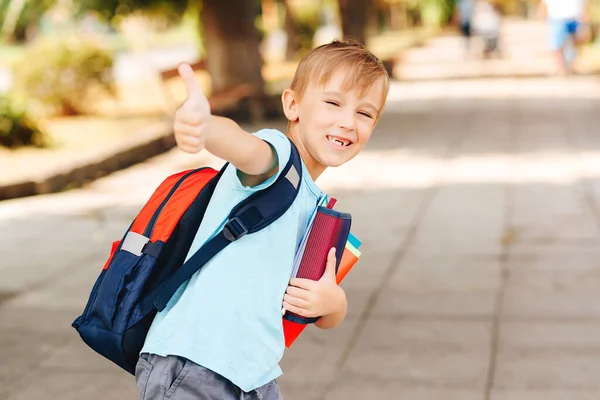 Estudante Feliz Com Saco Escolar Rapaz Bonito Com Cadernos Mochila — Fotografia de Stock