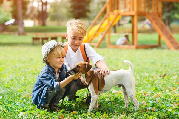 Enfants Avec Chien Marchant Dans Parc Famille Amitié Animaux Mode — Photo