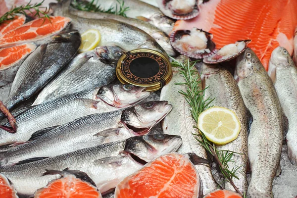 Comida Para Peces Tienda Cerca Pescado Crudo Listo Para Venta — Foto de Stock