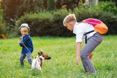 Parkta köpek gezdiren çocuklar. Aile, arkadaşlık, hayvanlar ve yaşam tarzı. Jack Russell Terrier köpekli çocuklar dışarıda. Mutlu çocuklar yeşil çimlerin üzerinde köpekle oynuyorlar..