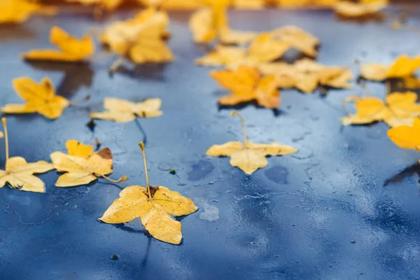 Samochód Pokryty Jesiennymi Liśćmi Jesienne Tło Deszczowa Jesienna Pogoda Żółte — Zdjęcie stockowe