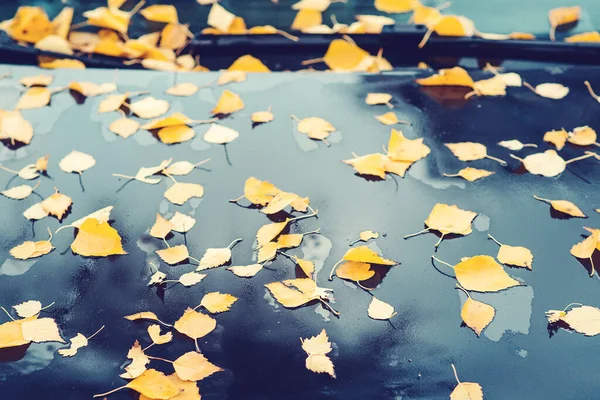 Auto Mit Herbstlaub Bedeckt Herbst Hintergrund Regenndes Herbstwetter Gelbe Blätter — Stockfoto