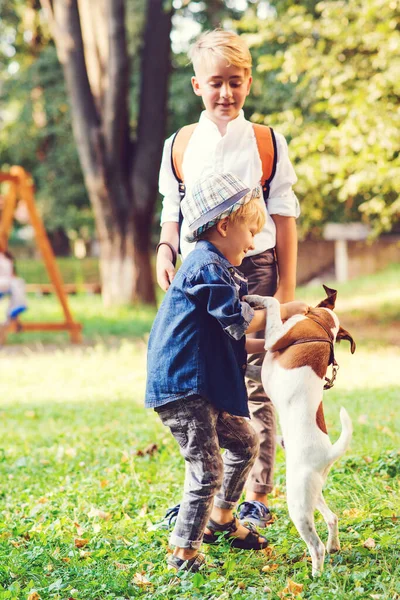 Crianças Com Cão Passear Parque Família Amizade Animais Estilo Vida — Fotografia de Stock