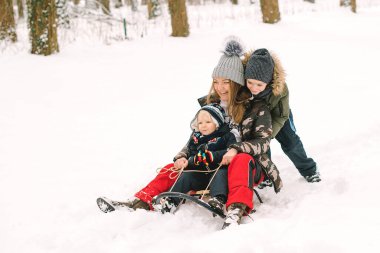 Mutlu çocuklar kızakla gezmekten zevk alıyor. Anne çocuklarını kızakla kayıyor. Noel 'de aile tatili. Aile kışın eğleniyor..