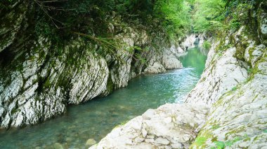 Dağ nehir Sochi