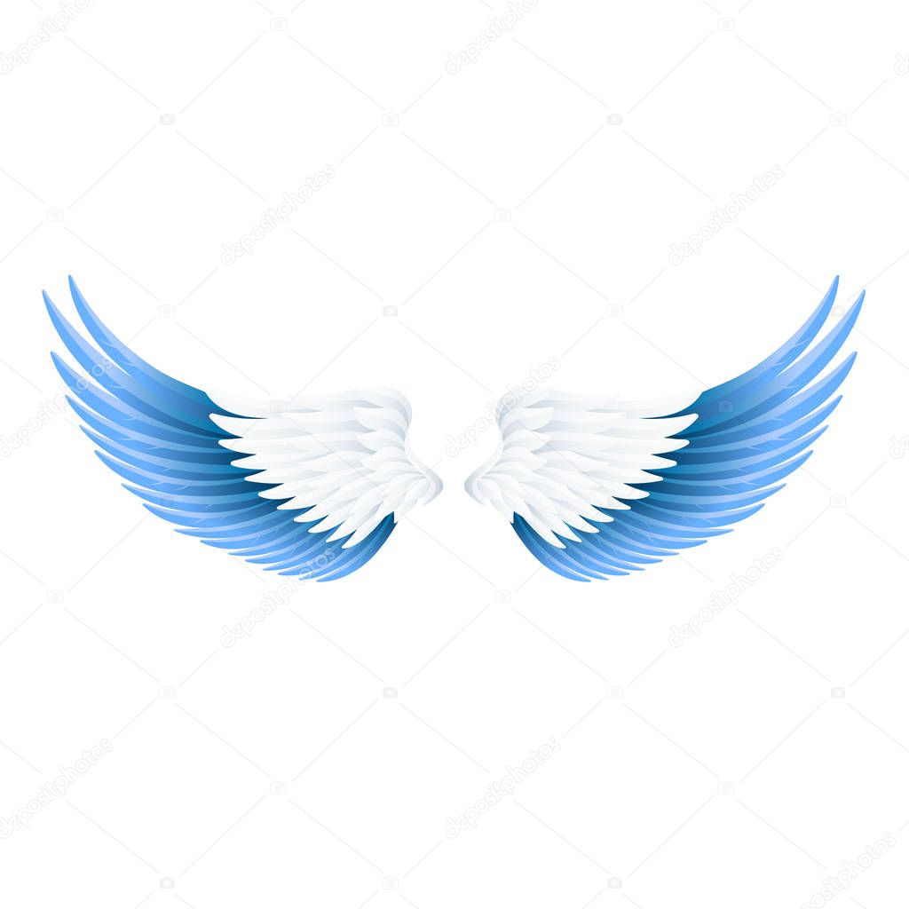 wide open realistic angel wings