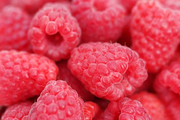 Büyük ahududular. Ahududu yakın çekim. Berry arka plan. Yaz vitaminleri