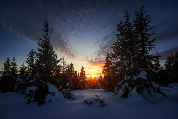 Kleurrijke Zonsondergang Krknose Bergen Bos Winter Tsjechië — Stockfoto
