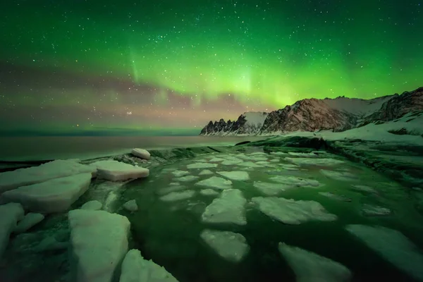 Тугенесет плавает во льдах — стоковое фото