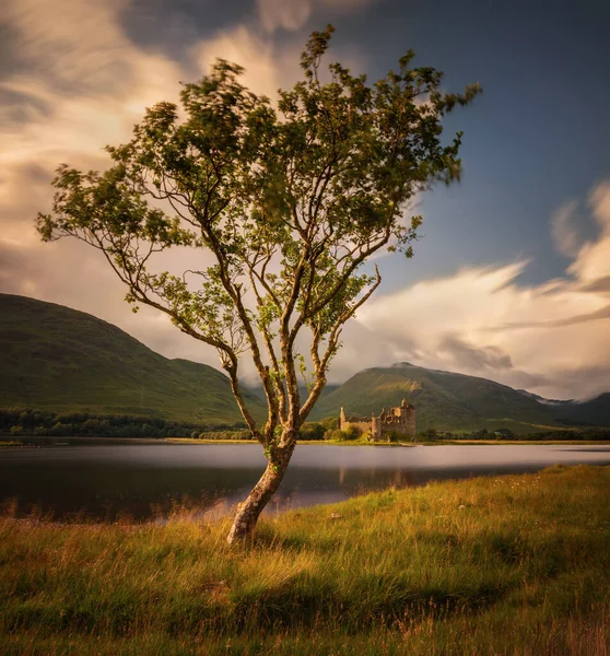 Árbol del castillo de Kilchurn — Foto de Stock