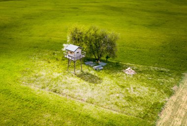 Polonya 'nın Mazuras kentindeki yeşil çayır üzerinde yüksek koltuk