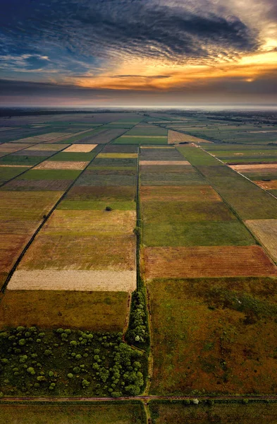 Checkerboard Pulwy Meadows Sunset Light Poland — Stock Photo, Image