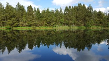 Doğaya bakış. Sudaki mavi gökyüzü ve ağaçların yansıması ile Lakeside görünümü