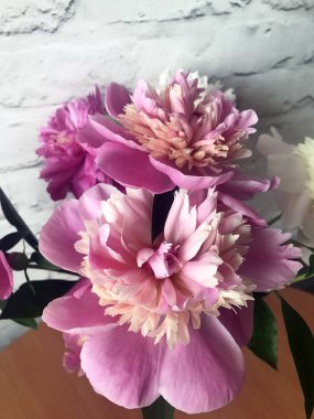 pembe ve beyaz peonies buket