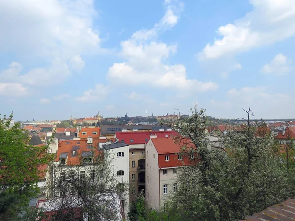 Tipos Praga Día Soleado Primavera —  Fotos de Stock